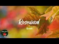 Bonobo - Rosewood (Lyric video)