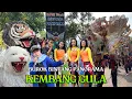 Download Lagu KEMBANG GULA - Burok BINTANG PANORAMA Show Desa TanjungAnom Cirebon