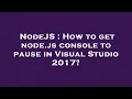 NodeJS How to get node js console to pause in Visual Studio 2017