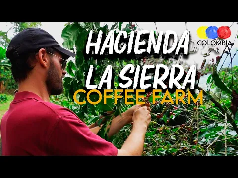 Hacienda La Sierra | Coffee Farm in Fredonia