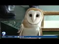 Bird watchers flock to Ohio for biggest week in American birding WHIO-TV