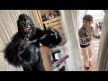 Lagu Gorilla Prank On Family 😲 