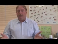 Pest Control Tips Using Salt to Kill Fleas
