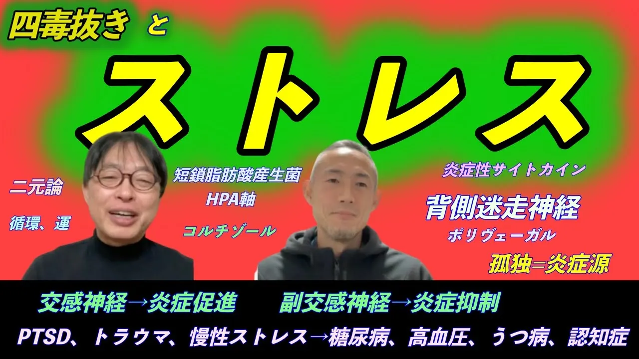 ストレス慢性化の恐怖！自律神経とホルモンによる炎症コントロールの破綻