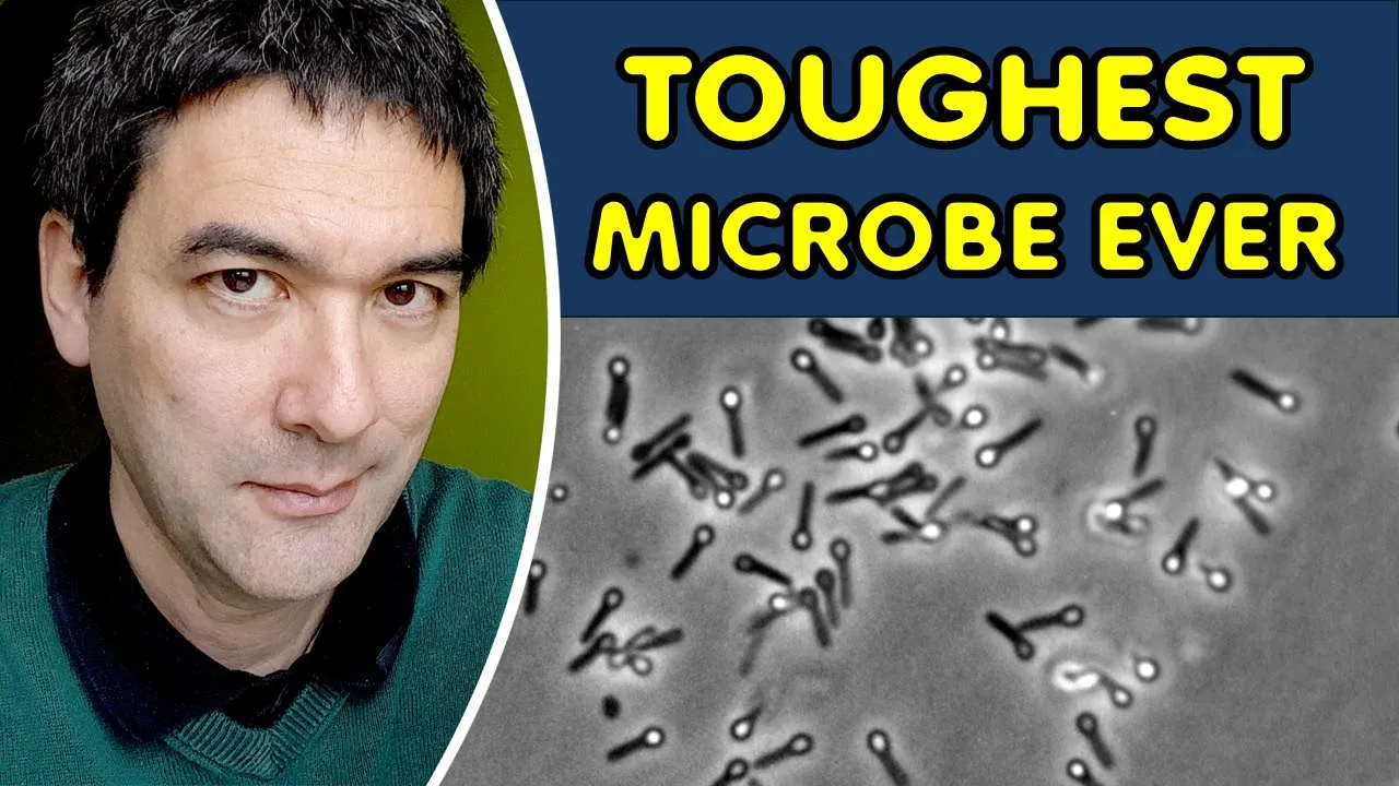 Why some microbes are practically immortal