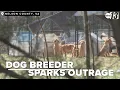 Neighbors outraged with Virginia dog breeder
