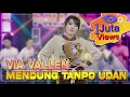 Lagu VIA VALLEN TERBARU - MENDUNG TANPO UDAN - DANGDUT KOPLO HOT