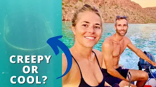 Underwater HAUNTED HOUSE or Sweet Dive Site? [Making Our Way Ep 66]