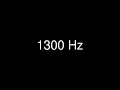 Sine Wave 1300 Hz for 1 hour - Test Tone