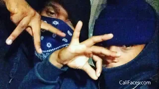 5 Biggest Crip Gangs In Los Angeles