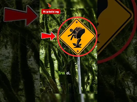😱 Biển Báo “Cây Ăn Thịt ”?#shortvideo