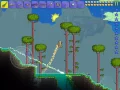 How to get coral in Terraira