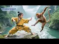 Lagu Pemuda menolong monyet, mendapat kitab ilmu silat rahasia, jadi pendekar hebat!