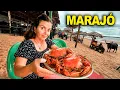 MARAJO ISLAND First Impressions of This Island in PARA