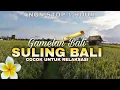 Download Lagu RELAKSASI SULING MERDU DENGAN PEMANDANGAN SAWAH  ! GAMELAN BALI ! HEALING MUSIC