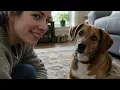 15 Scary Accurate Things Your Dog Knows About You