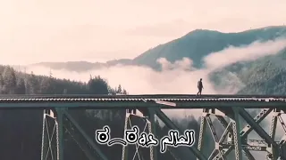 عالم مش سليم حوده بندق من كليب ايموشن دولارات عايزين تفاعل   دندنها