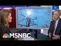 U N Calls Climate Outlook Bleak In New Report MTP Daily MSNBC