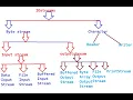 File Handling in Java Java IoStreams