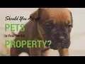Should You Accept Pets for Your Northern Virginia Rental Property Landlord Advice