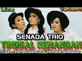 Download Lagu TINGGAL KENANGAN - Cover By SENADA TRIO - Cipta : Rafael Sitorus \u0026 Hendrik Simbolon