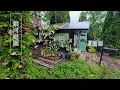 Download Lagu 【4K ROSE】 Hokkaido. Roses that bloom in the short summer of a snowy country.#4khdr