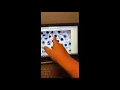 Lab 11 - Observation of Mitosis in a Plant Cell