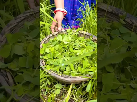 Village Susni Shak Bhorta recipe #shorts #trending #youtubeshorts #cooking #food