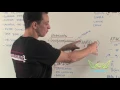 M14 SQL Injection - Whiteboard
