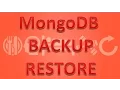 MongoDB for beginners MongoDB Backup and Restore