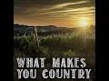 What Makes You Country (Instrumental)