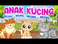 Download Lagu Anak Kucing Meong-Meong | Kucing Lucu | LAGU ANAK INDONESIA POPULER - JUARA KARTUN CHANNEL