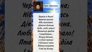 Зацвіла в долині Червона калина Тарас Григорович Шевченко Вірш Слухати онлайн Shorts 