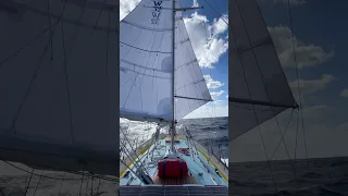 Dead Downwind Running full steam ahead!