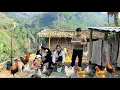Lagu Will police officer Alex help single mother Tiểu Ca keep her chickens?