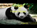 6 Python Pandas Tutorial 6 CSV File Contd