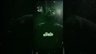 حضرة يا آل بيت النبي روعة روعة روعة مع الكلمات كاملة الكلمات في الوصف 