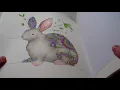 Fantastic Zoo Colouring Book 40 Completed