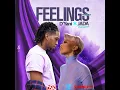 Feelings (Remix) - D'yani