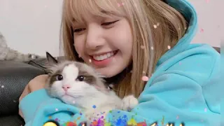 سنين شايفك في أحلامي بنادي عليكي ضميني ليالي 