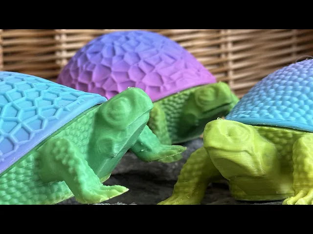 Box Turtle Boxes video thumbnail