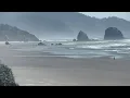 Live A view looking south from our Cannon Beach Oregon cam