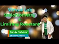 Virtual Lab Stoichiometry Limiting Reactant Lab with PhET Sims