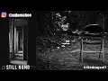 killedmyself - Still Numb