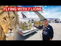 Download Lagu Special Rescue Flight - Flying With 7 Lions on Qatar Airways B777