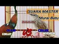 Download Lagu MASTERAN MURAI CILILIN VS CIBLEK