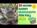 Download Lagu 30 Super Hardy Succulents For Full Sun With Names, For Pots \u0026 Garden