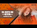 Download Lagu Dil Kehta Hai (Remix) DJSevix Mix