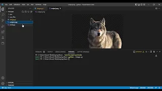 How to remove background from an Image like a pro with Python