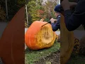 Prepping for carving and collecting seeds